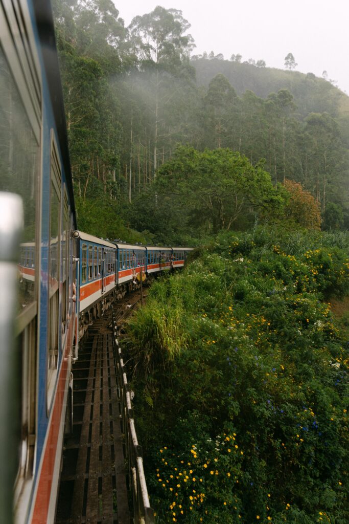 Treno - Dahab - Jizen