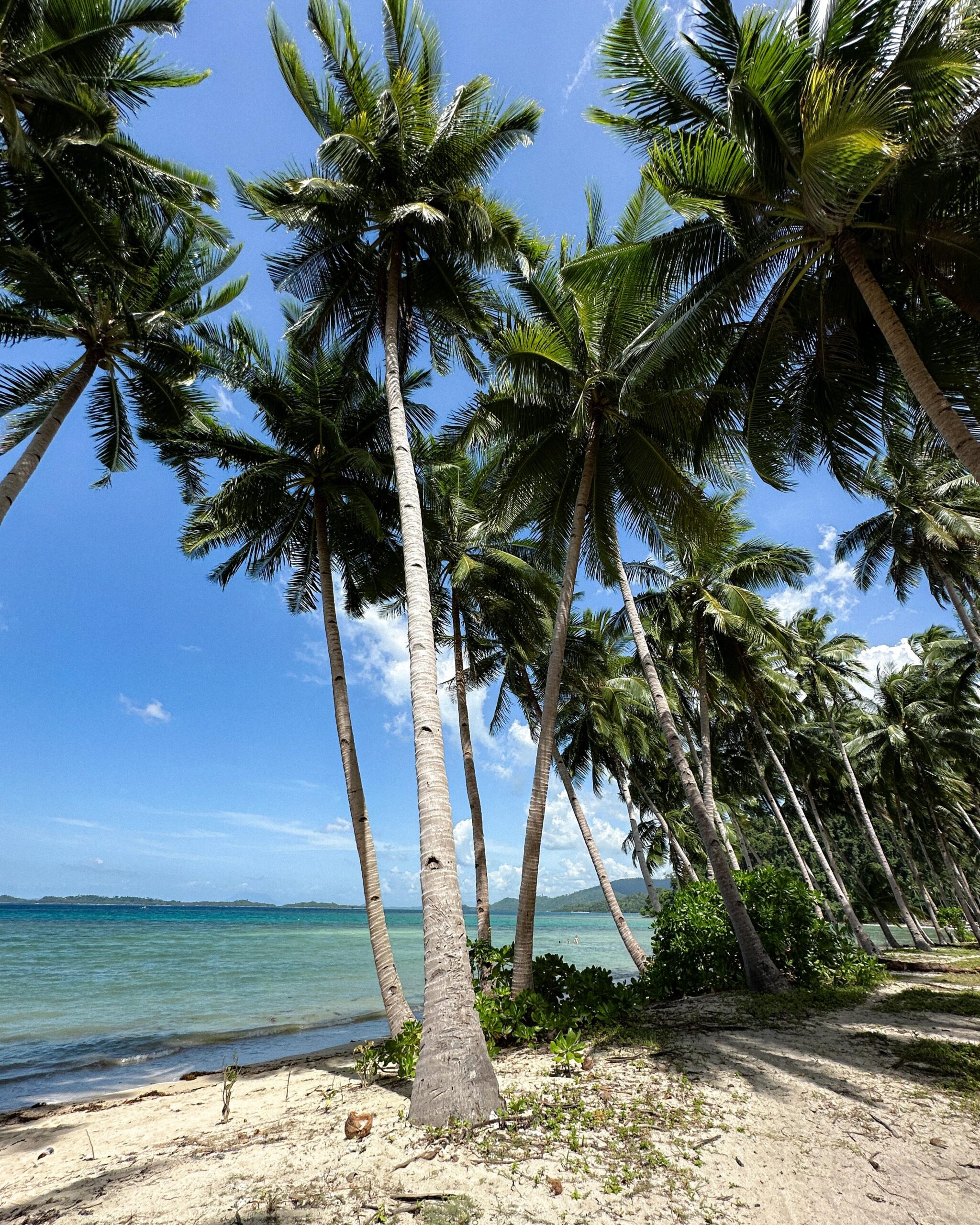 Spiaggia - Filippine - Jizen