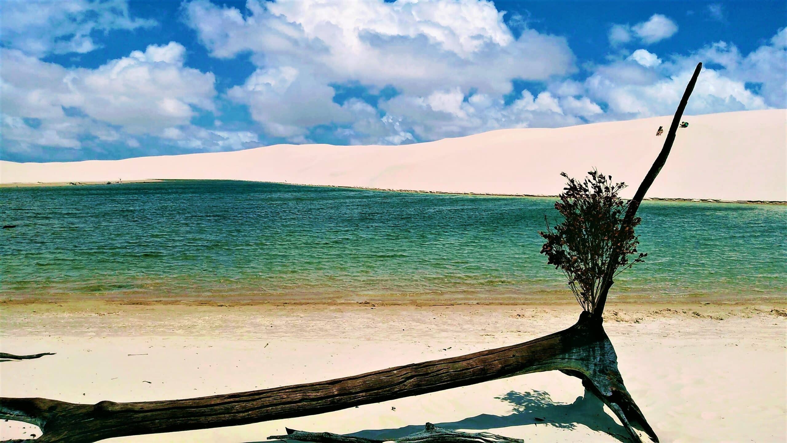 jericoacoara - Brasile - Jizen